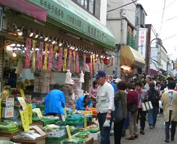 midori-hanjyo.jpg