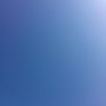 120219
