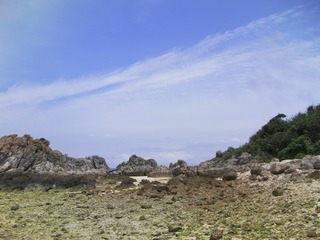 SANY0024_R