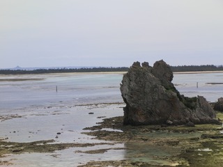 SANY0029_R