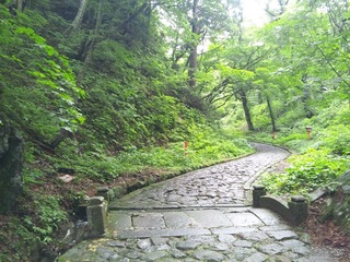 110613_102034_R