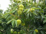 e21115d5.jpg