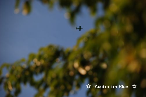 airplane 8/6
