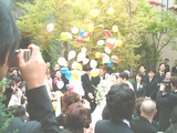 30208e3a.JPG