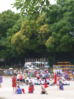 P5231365c.jpg