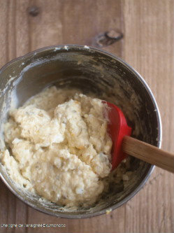P1272860cbbp.jpg