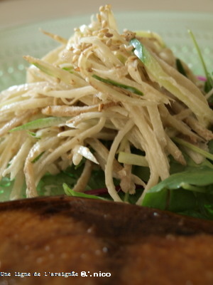 P9178302cb.jpg