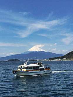 IMG_6187cp.jpg
