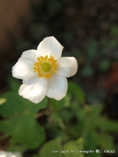 PB120980cb.jpg