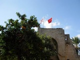 0b43c11f.jpg