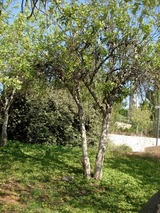 e149dc83.jpg