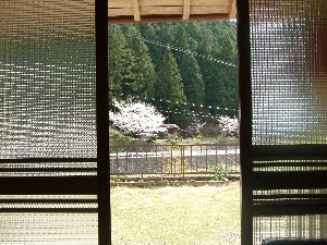 DSCF9970