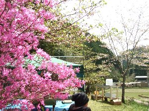 DSCF0133