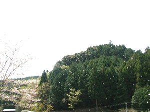 DSCF0130