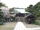 20160409_ryukoji