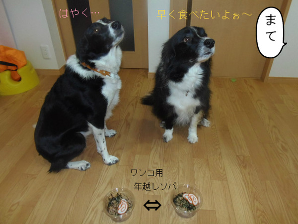 BlogPaint