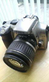 dde2d531.jpg
