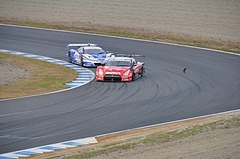 SuperGT 2009 Rd.9 もてぎ 446