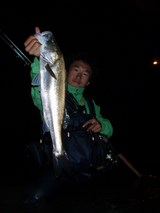 �Ҥ礤�Ҥ礤�ΤҤ礤�Ҥ礤��