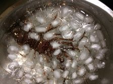 伊勢エビ 氷の中