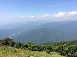 伊吹 山並み