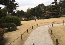 庭園