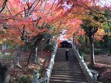 紅葉 1
