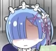 rem3