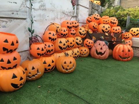 ハロウィン カボチャ