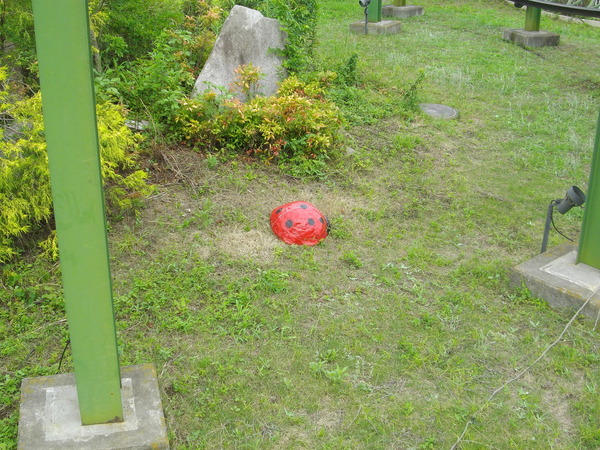 IMGP4045