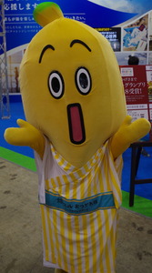 IMGP3036