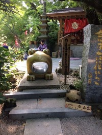 かえる寺 (8)