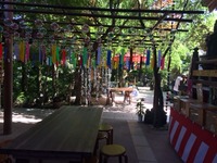 かえる寺 (6)