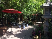 かえる寺 (7)