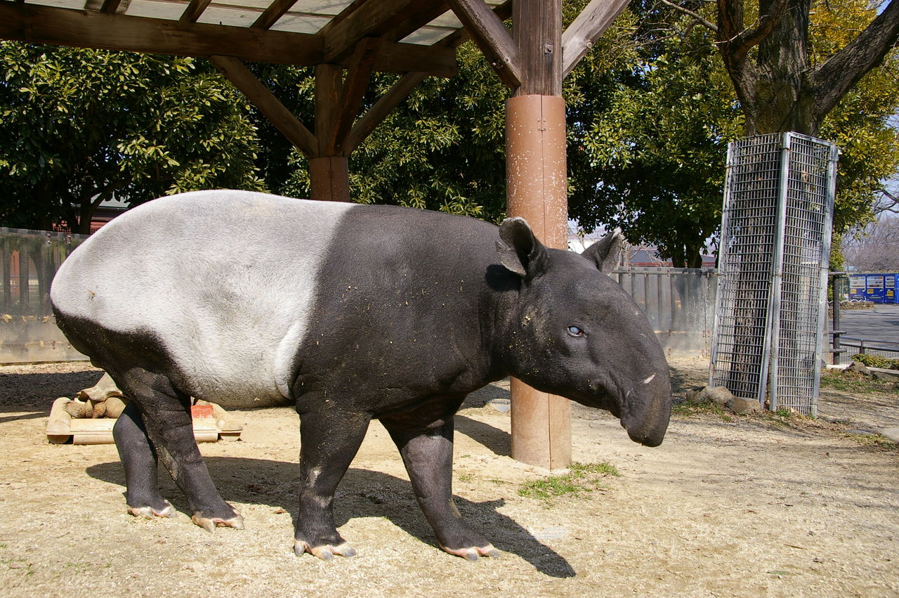 IMGP0931