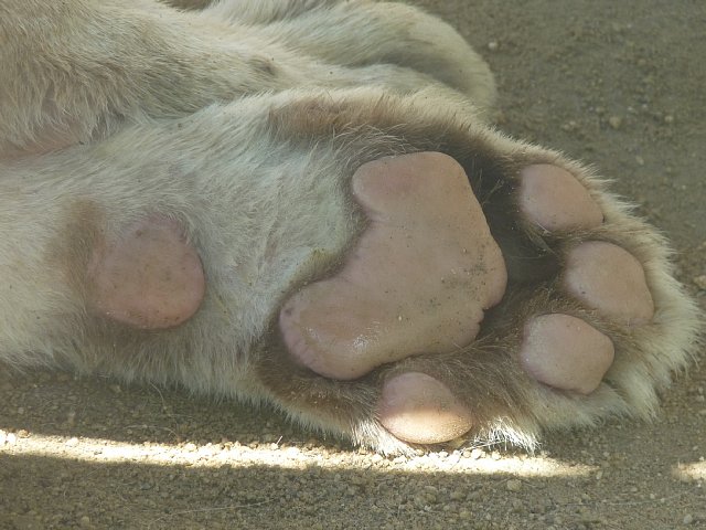 ·¿1