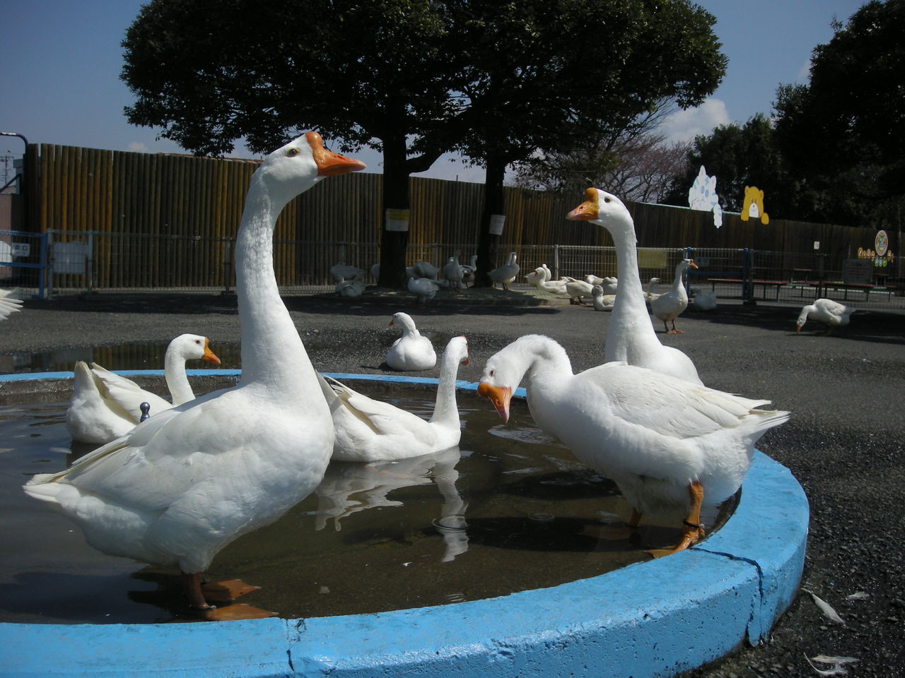 DSCN0444¼Ì¿¿£³