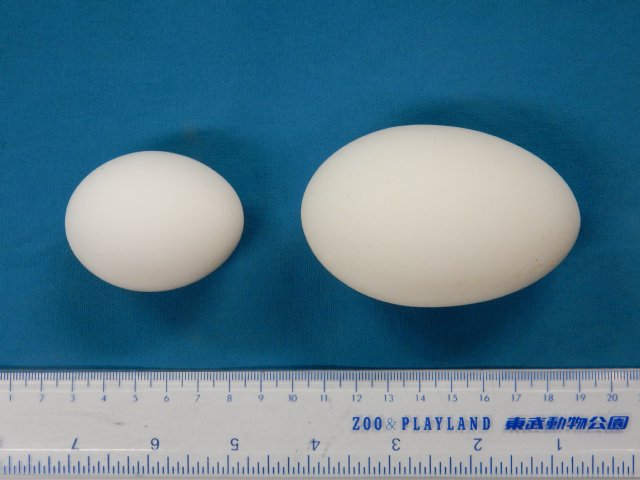 DSCN8543-1