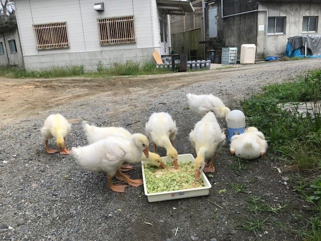 写真1