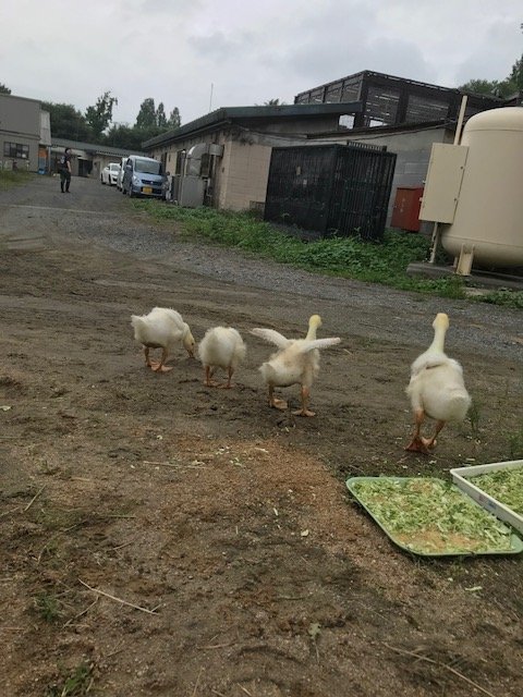 写真3