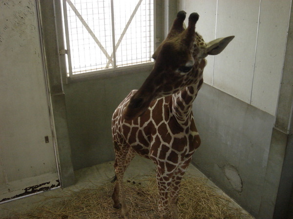 写真1