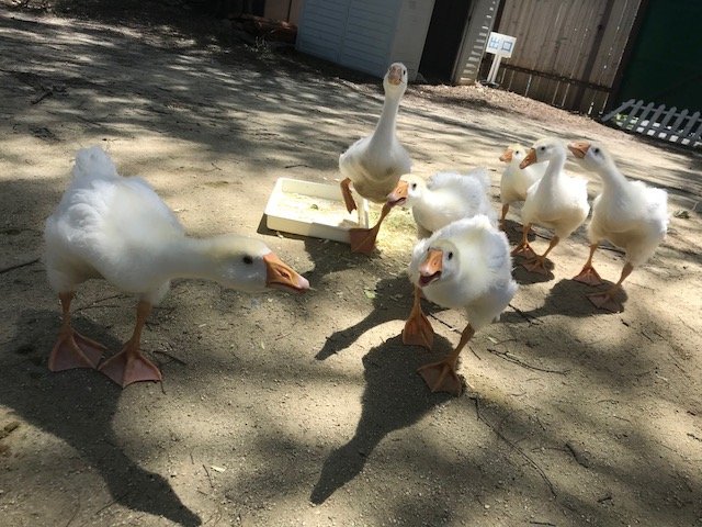 写真1