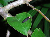 ab1cbea3.jpg