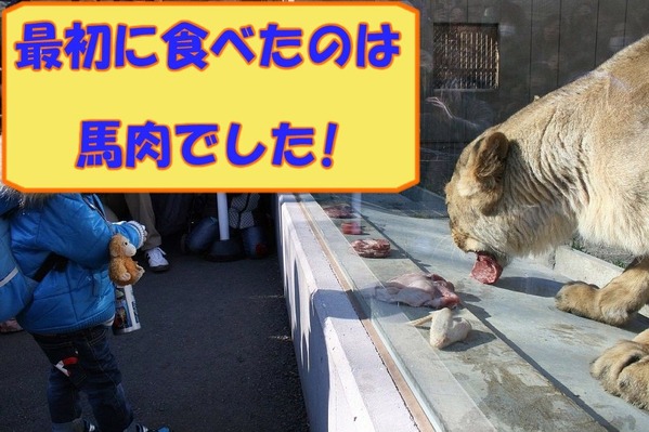 ブログ用