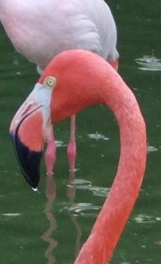 DSCF0376111