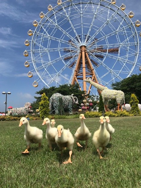 写真3