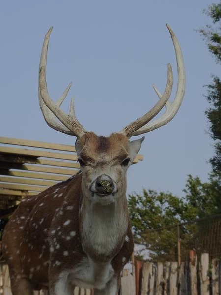 burogu1