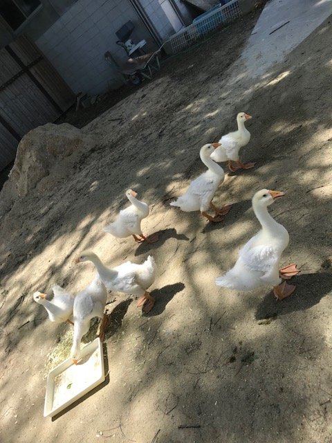 写真2