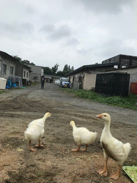 写真2