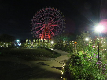 23ローズガーデン夜